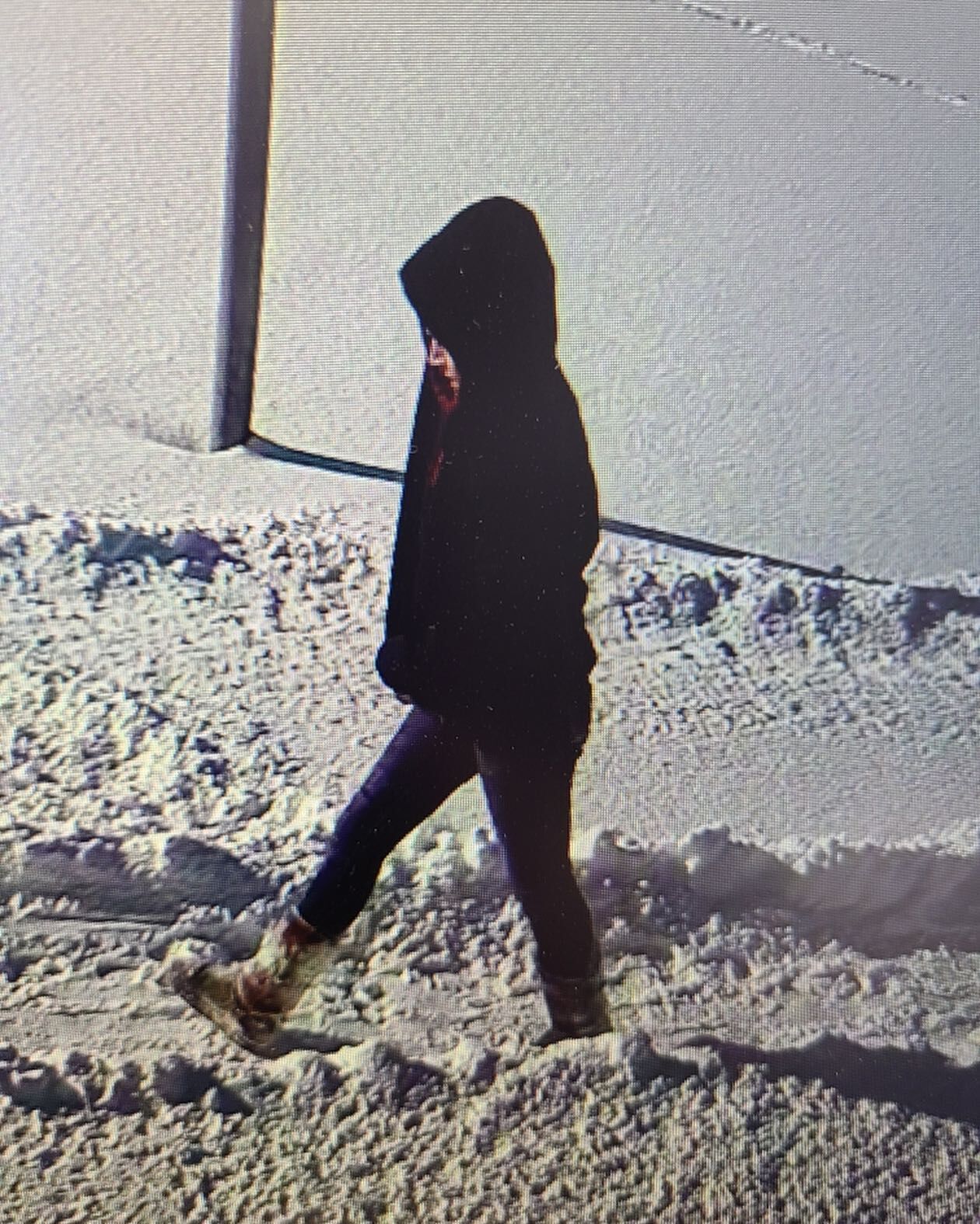 Car theft suspect